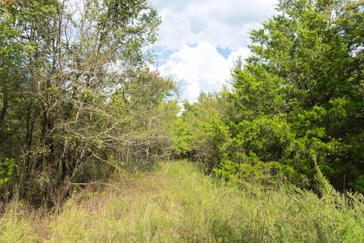 Decorative background for Reserves At Cattail Cove Phase II Tract 75 image 10
