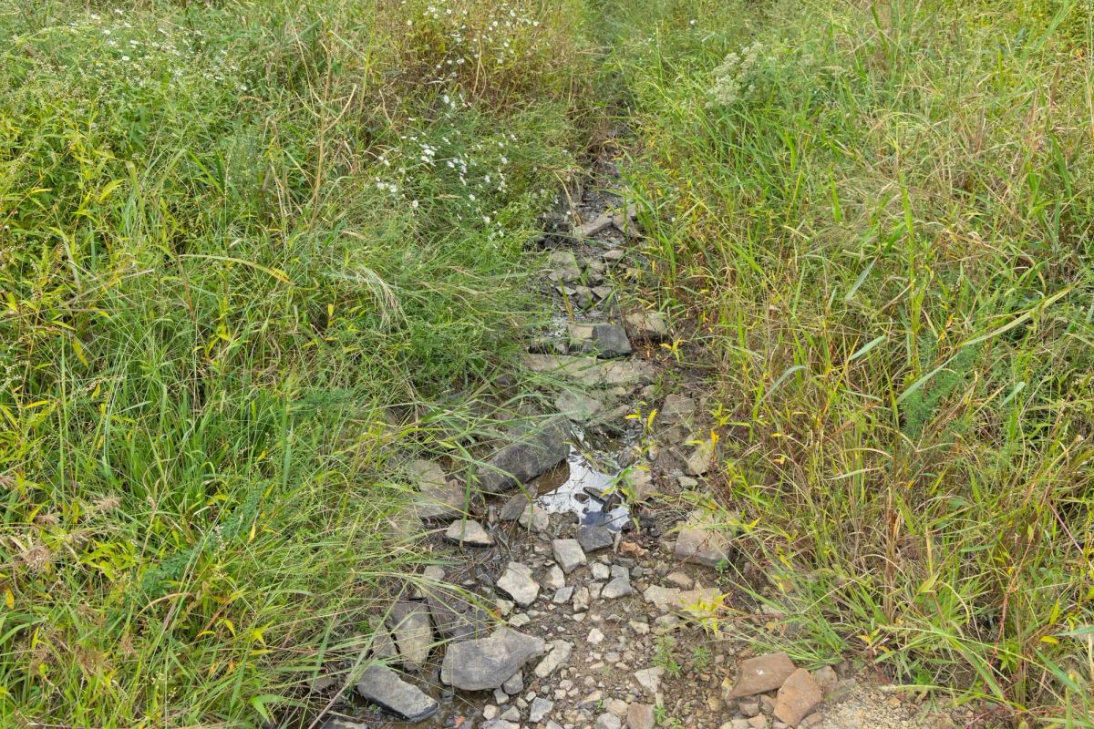Decorative background for Reserves At Cattail Cove Phase II Tract 75 image 12