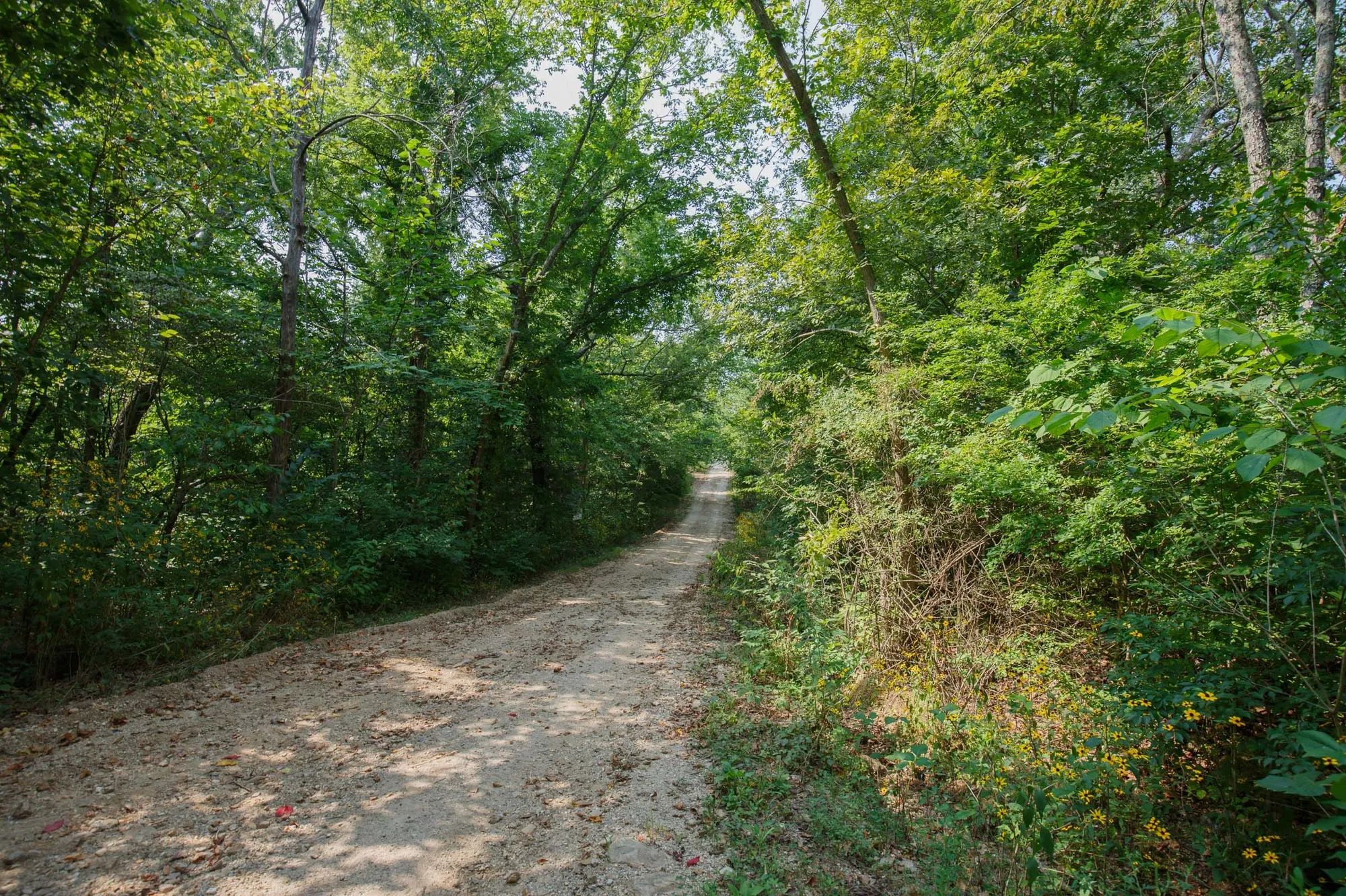 Spring Lake Plat 2 Tract 9 in Miller County, MO