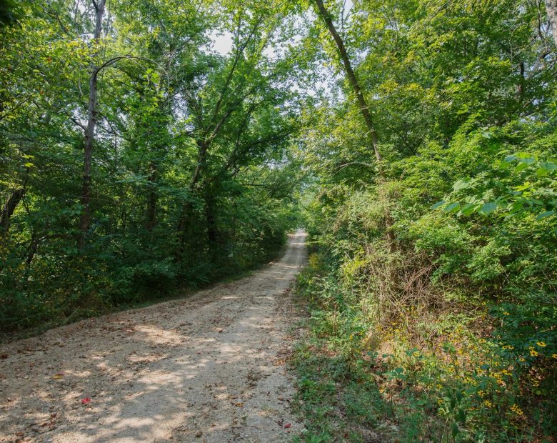 Spring Lake Plat 2 Tract 9 in Miller County, MO