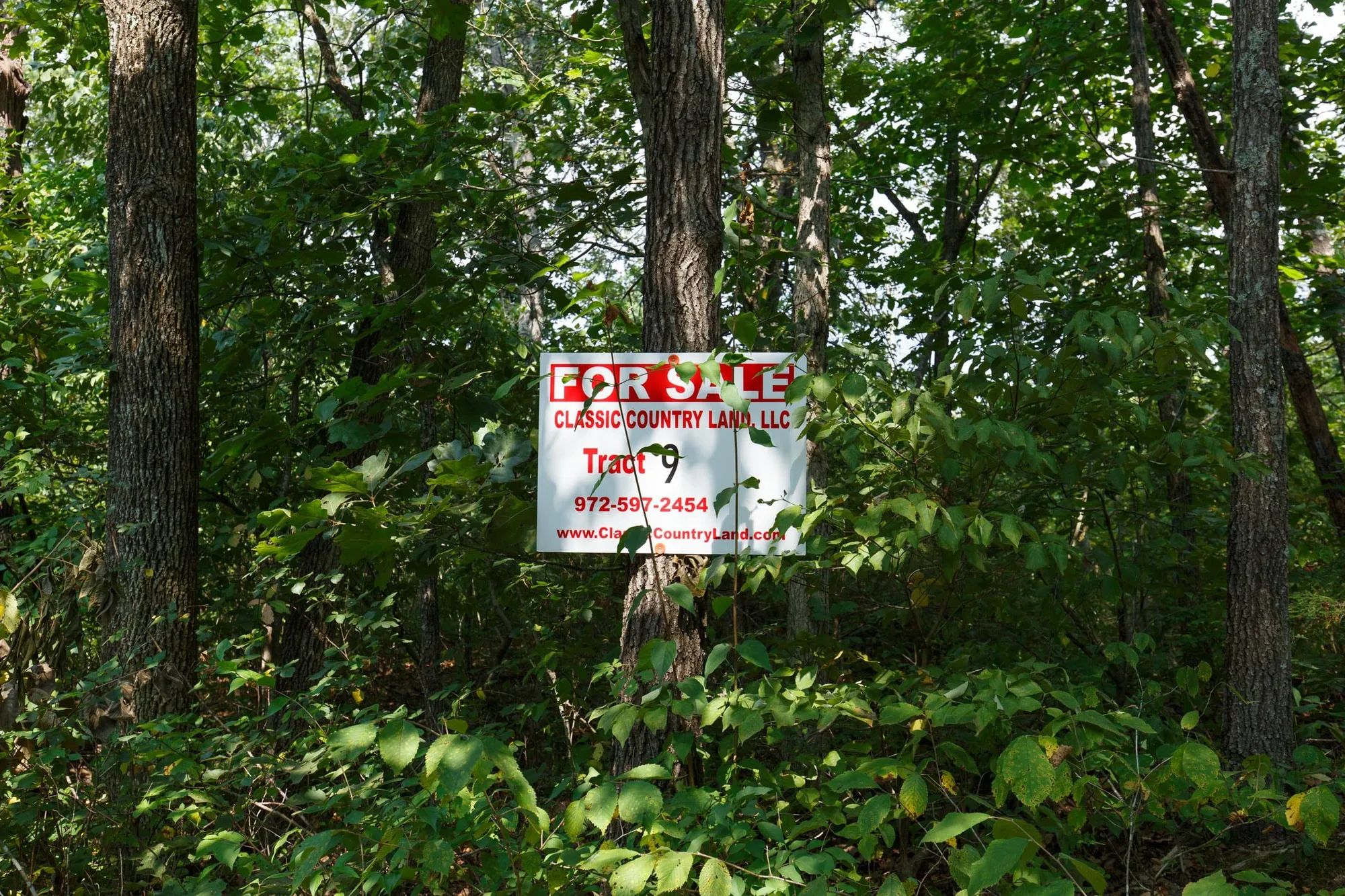 Spring Lake Plat 2 Tract 9 in Miller County, MO