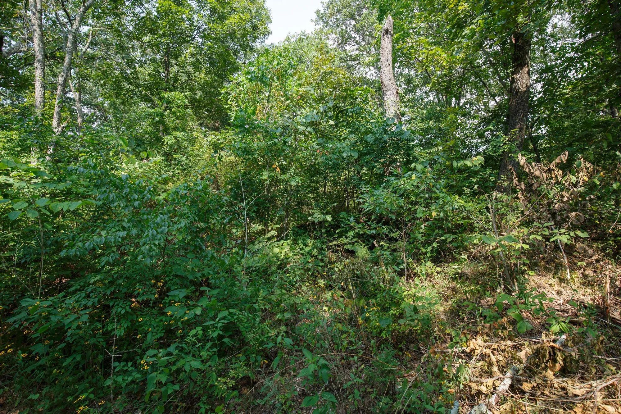 Spring Lake Plat 2 Tract 9 in Miller County, MO
