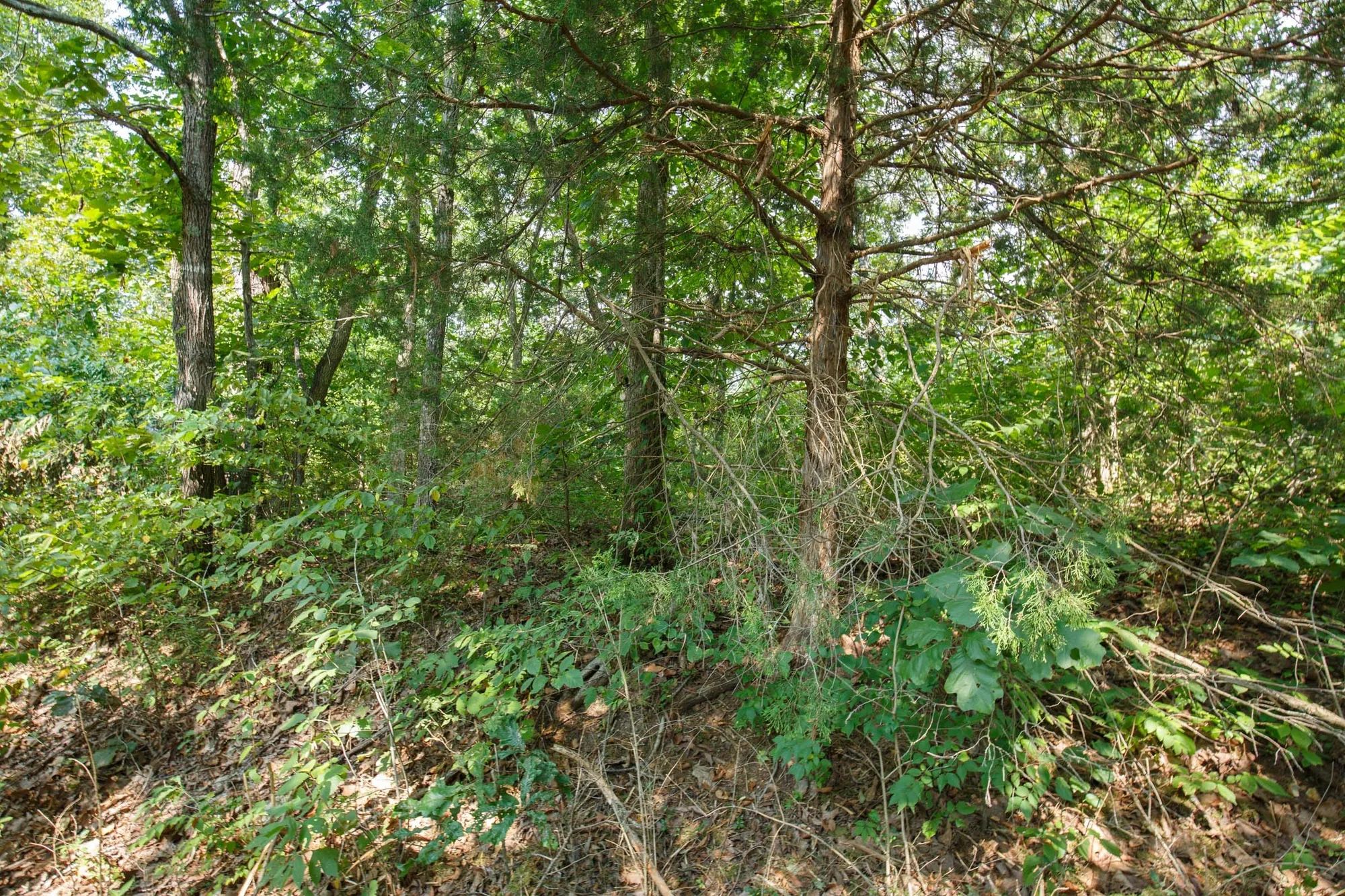 Spring Lake Plat 2 Tract 9 in Miller County, MO