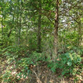 Spring Lake Plat 2 Tract 9 in Miller County, MO