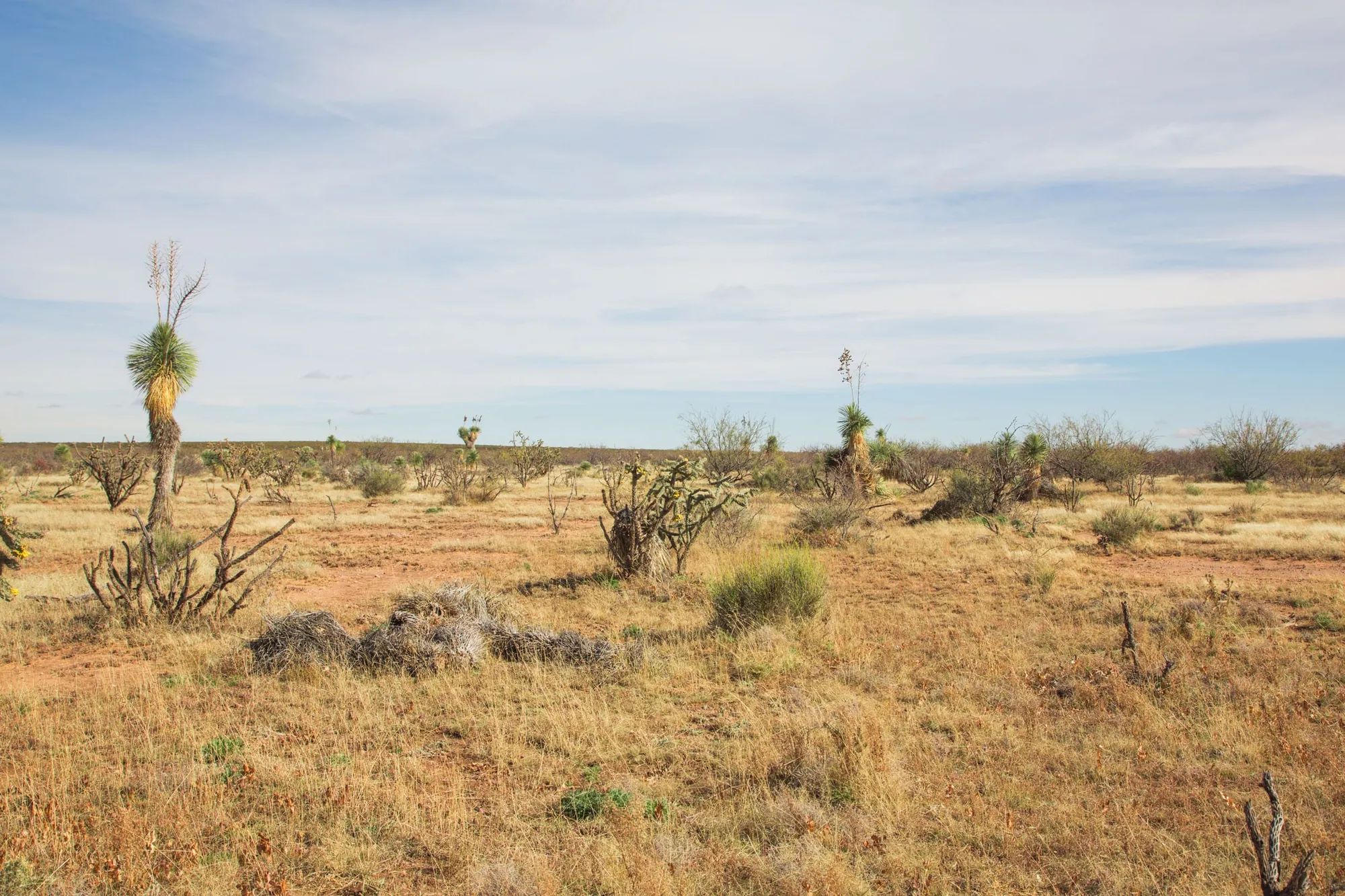 Sunset Ranches Tract 2 in Hudspeth County, TX