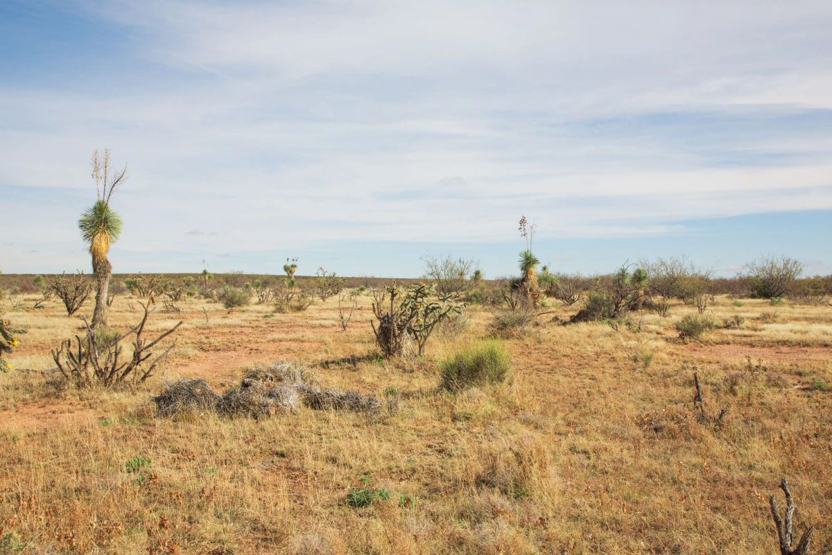Sunset Ranches Tract 2 - Image 2