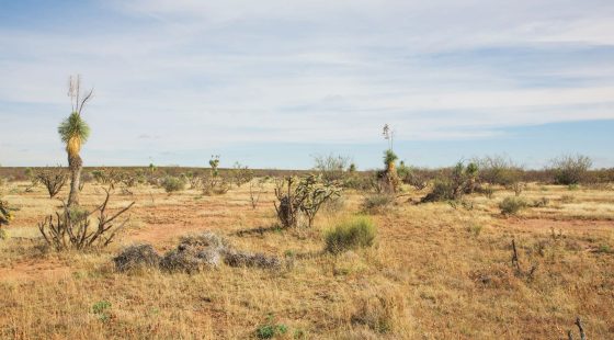 Sunset Ranches Tract 2 in Hudspeth County, TX