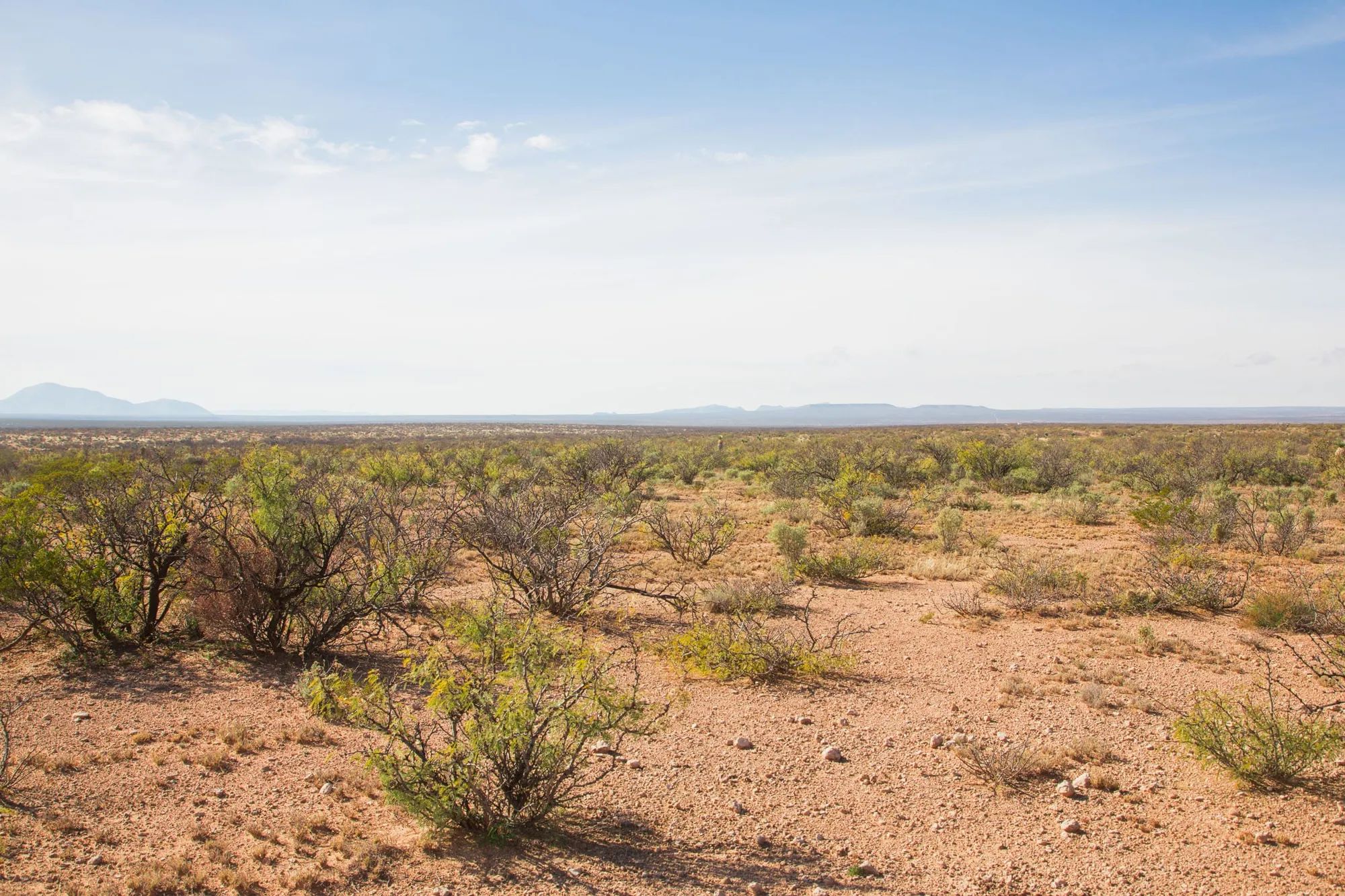 Sunset Ranches Tract 2 in Hudspeth County, TX