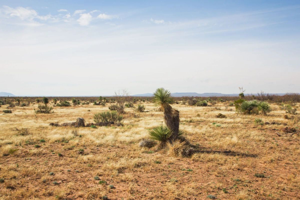 Decorative background for Sunset Ranches Tract 2 image 5