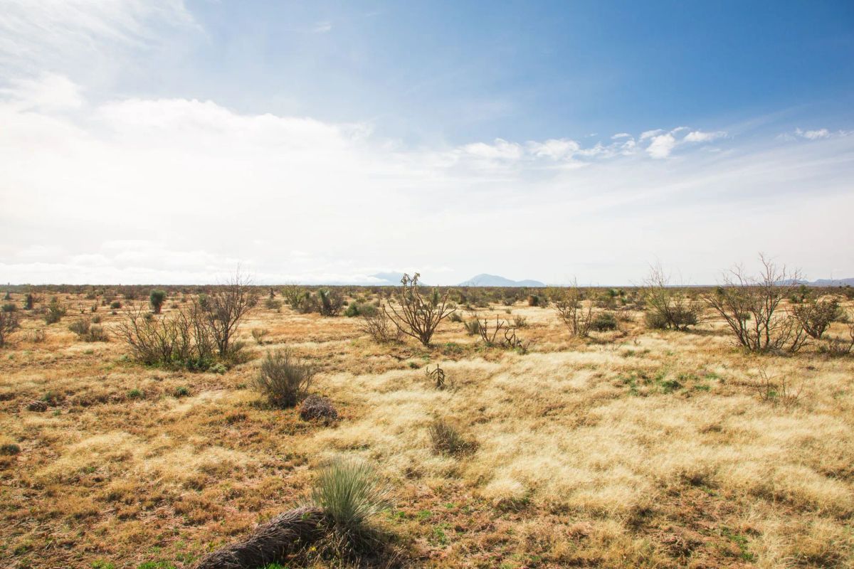 Decorative background for Sunset Ranches Tract 2 image 6