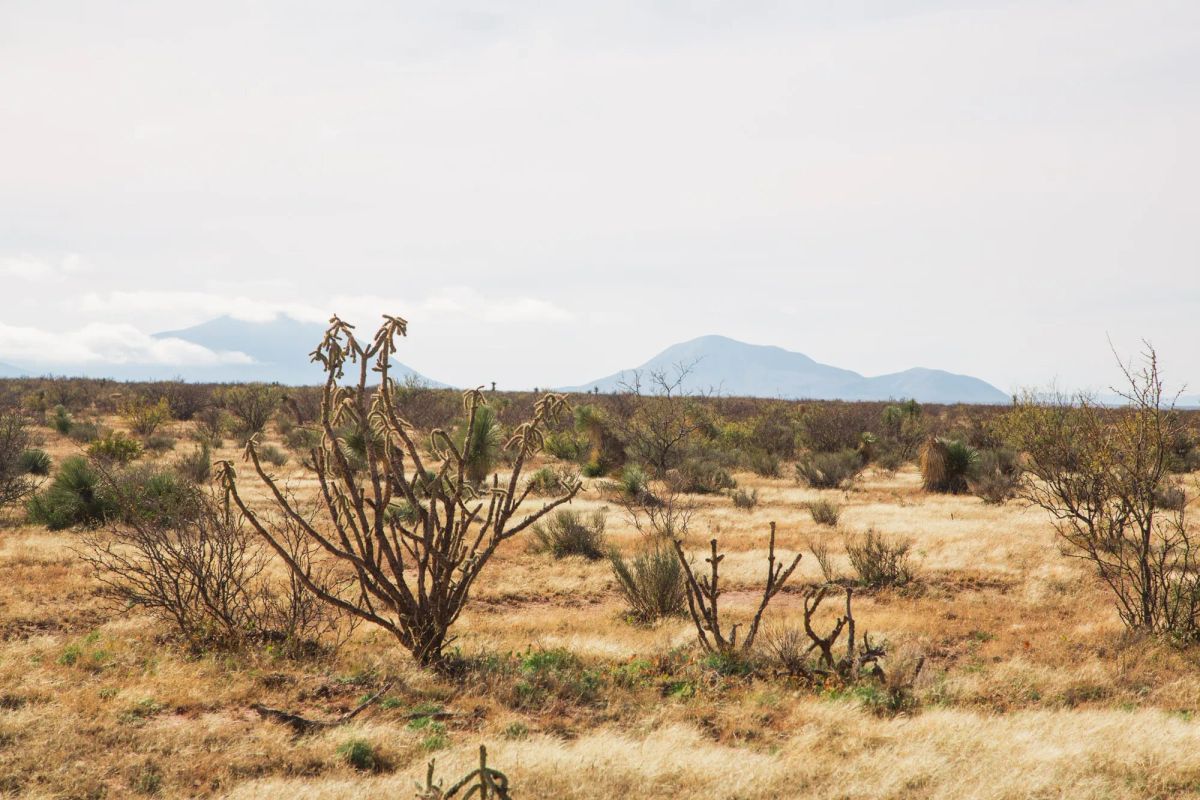 Decorative background for Sunset Ranches Tract 2 image 7