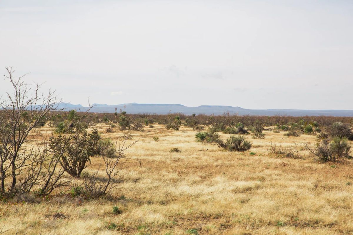 Decorative background for Sunset Ranches Tract 2 image 8