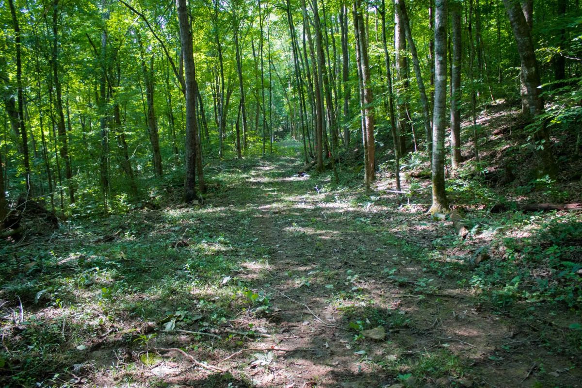 Bluewater Ridge Tract 15 - Main image