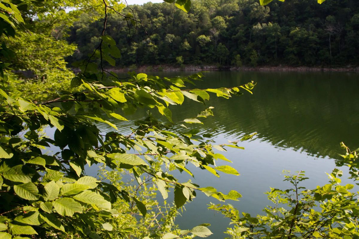 Bluewater Ridge Tract 15 - Image 3