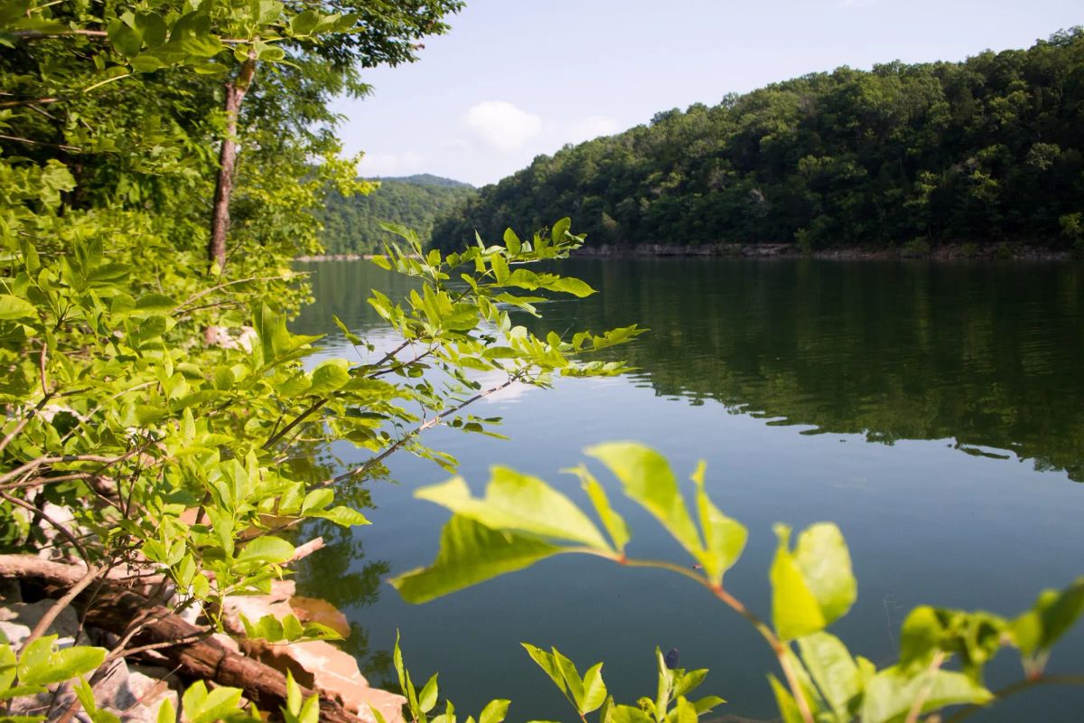 Bluewater Ridge Tract 15 - Image 4