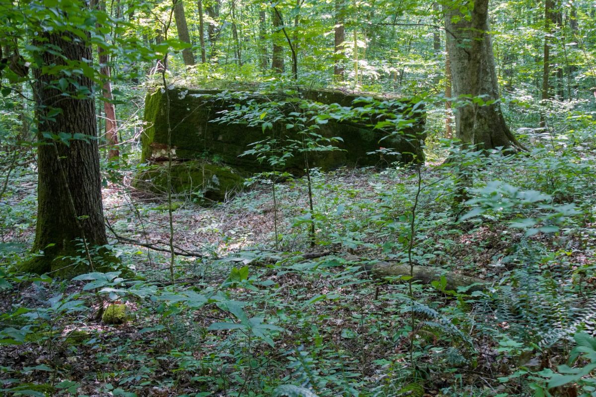 Decorative background for Bluewater Ridge Tract 15 image 12