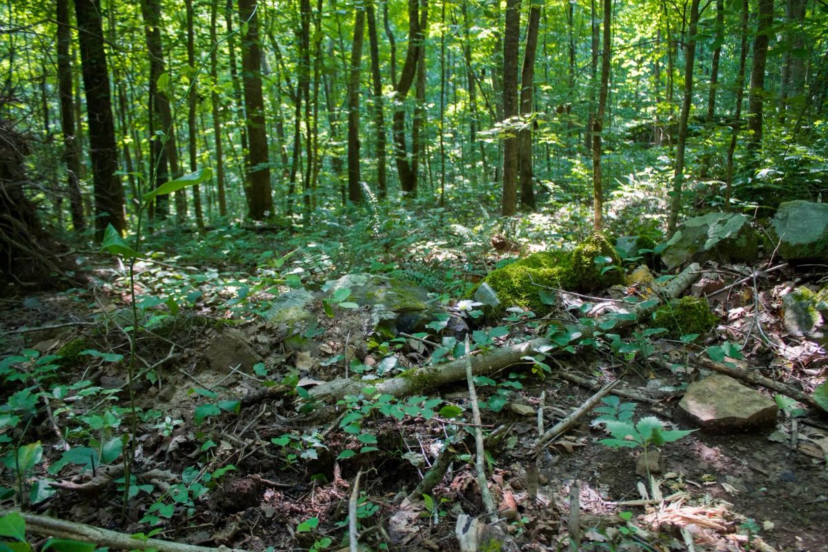 Decorative background for Bluewater Ridge Tract 15 image 16