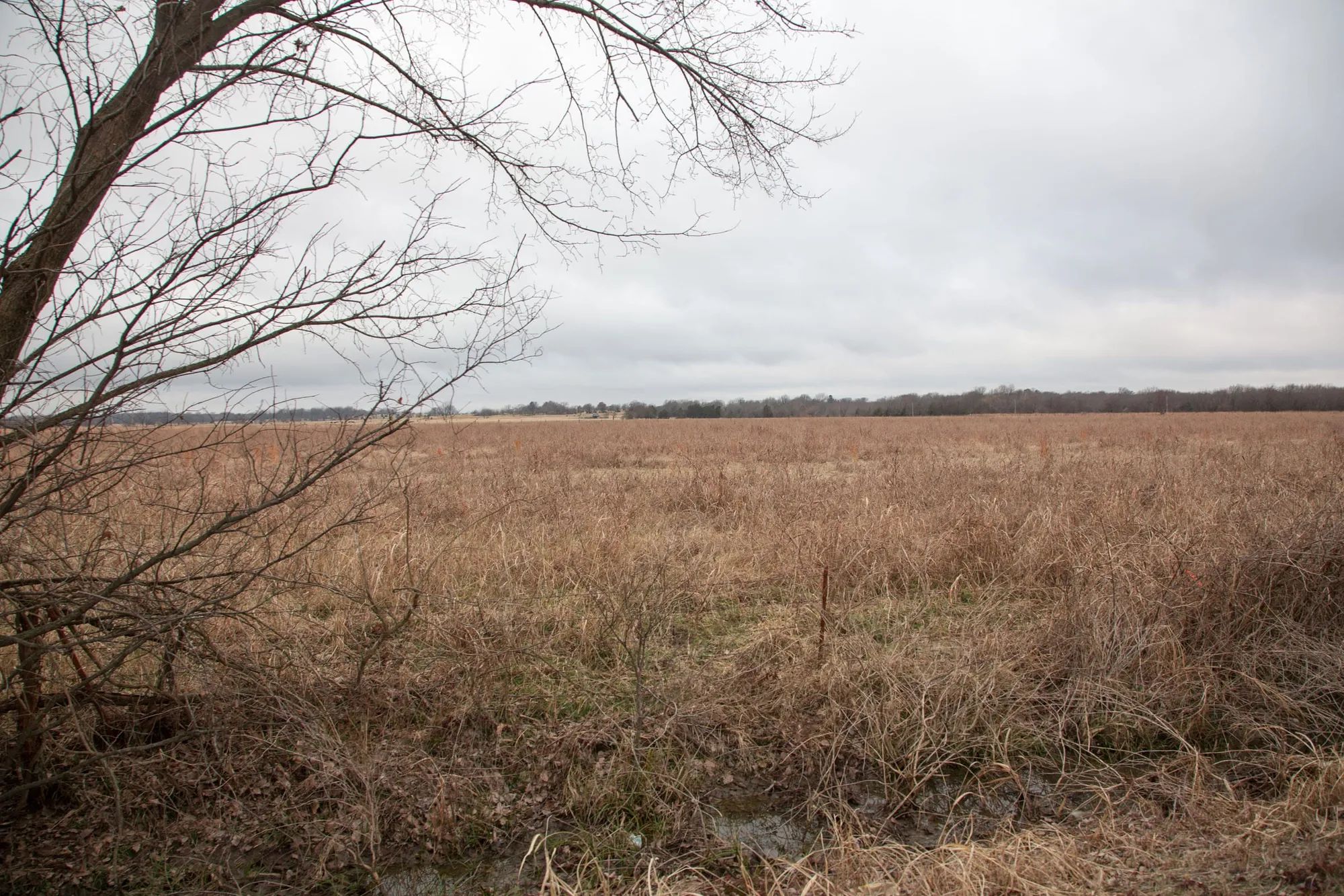 Canadian Plains Tract 11 in Pittsburg County, OK