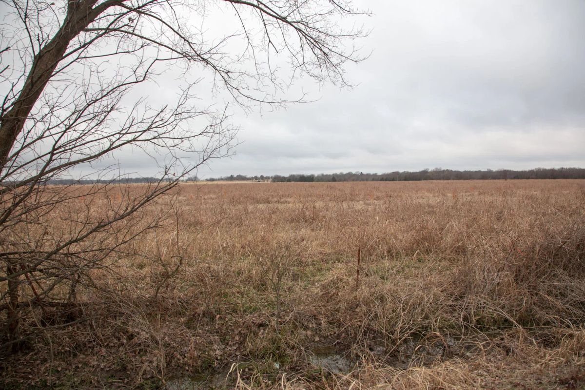 Canadian Plains Tract 11 - Image 3