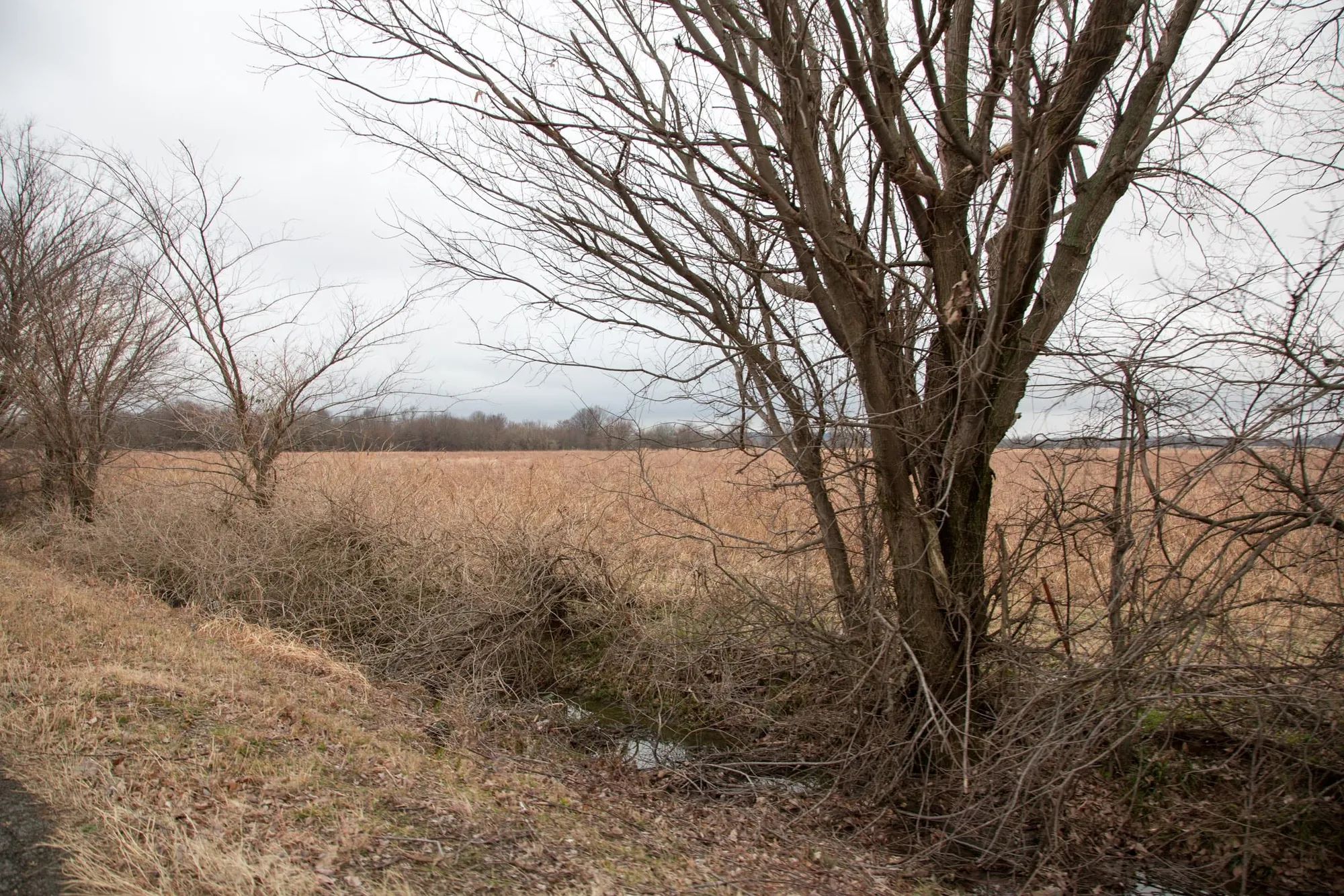 Canadian Plains Tract 11 in Pittsburg County, OK
