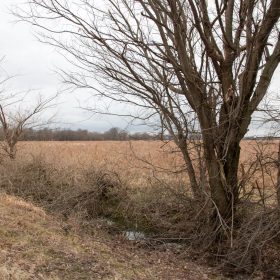 Canadian Plains Tract 11 in Pittsburg County, OK