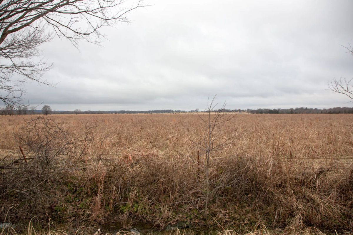 Decorative background for Canadian Plains Tract 11 image 9