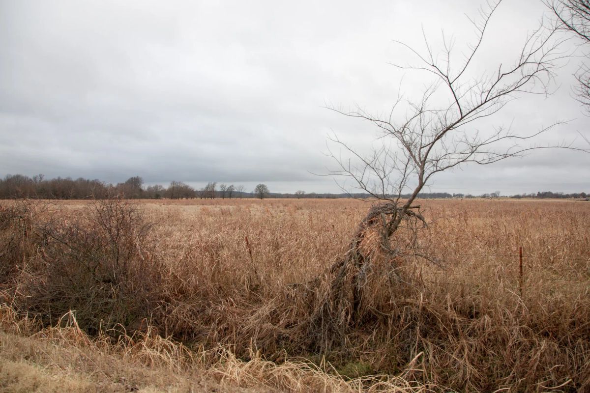 Decorative background for Canadian Plains Tract 11 image 10