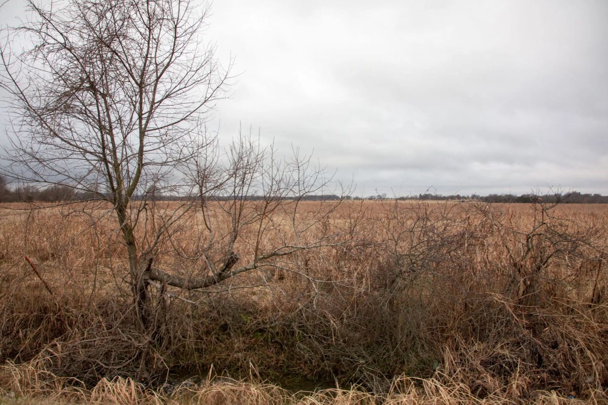 Decorative background for Canadian Plains Tract 11 image 11