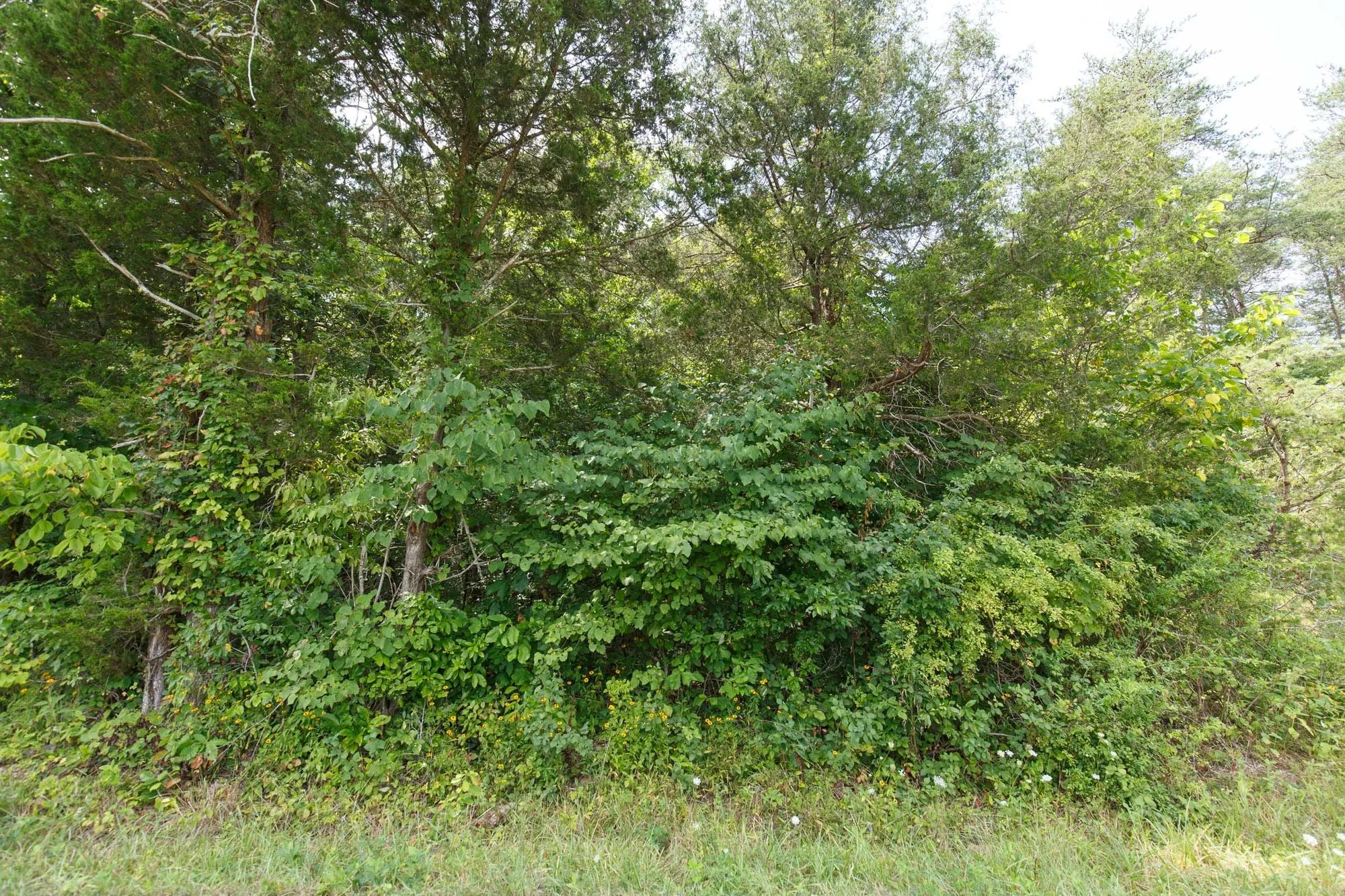 Rolling Hills Tract 1 in Wayne County, KY