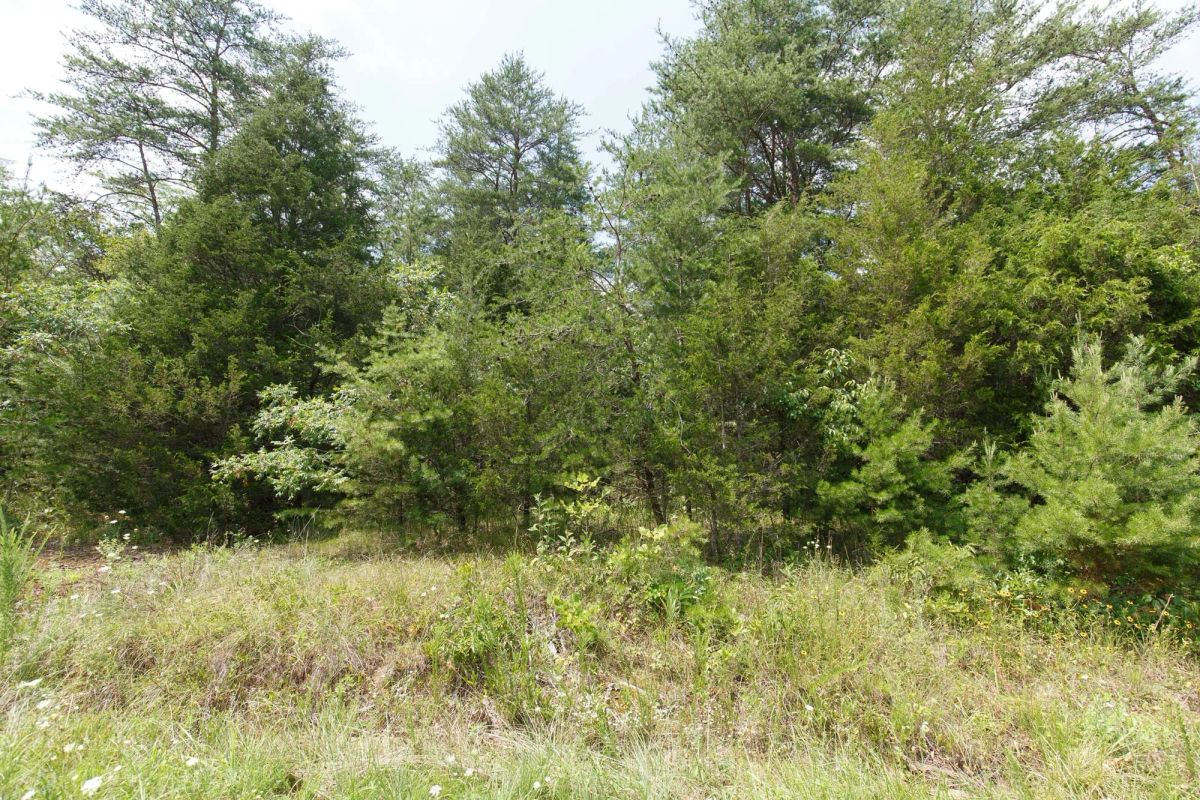 Rolling Hills Tract 1 - Image 4