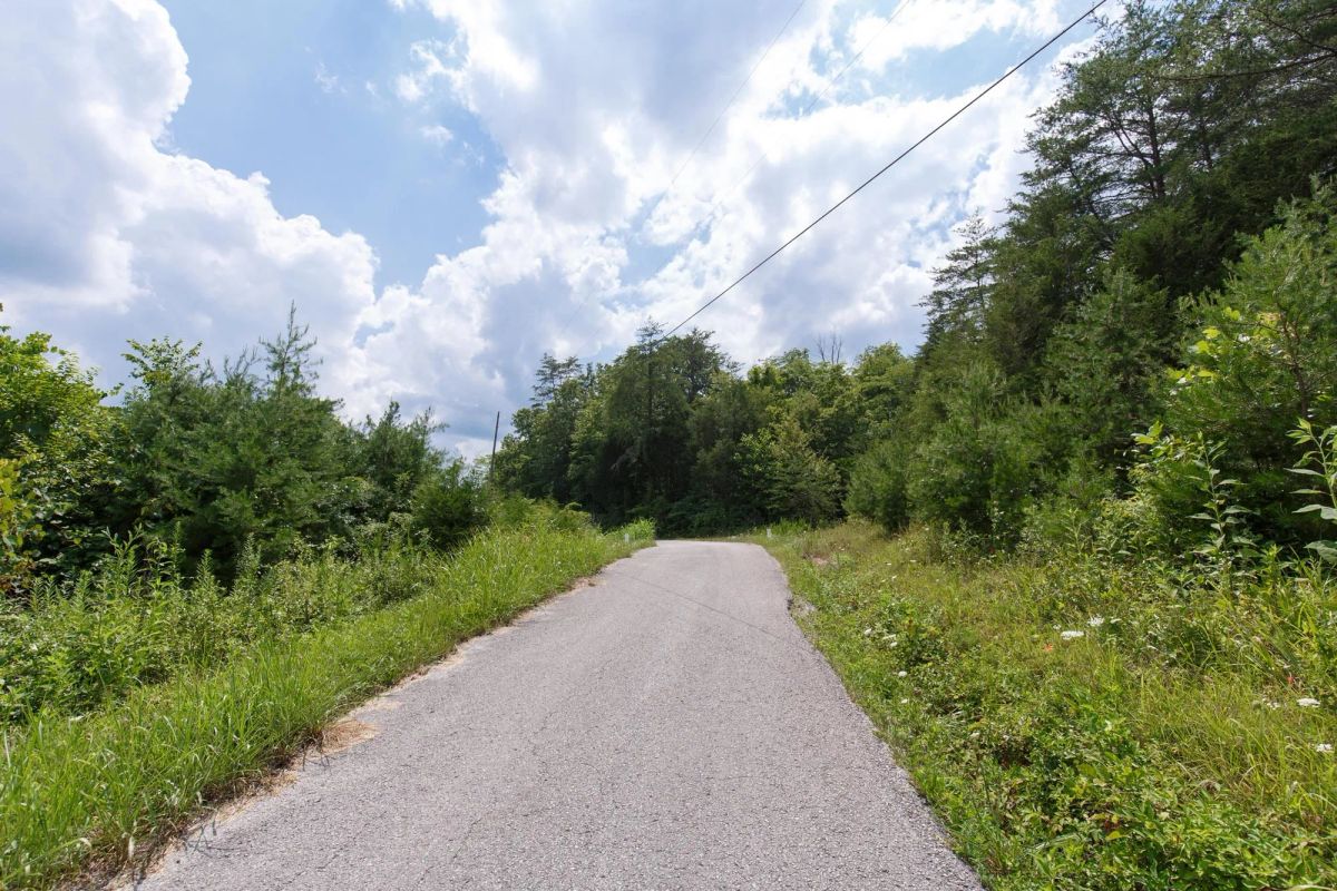 Decorative background for Rolling Hills Tract 1 image 7