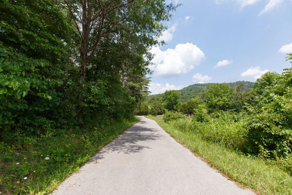 Decorative background for Rolling Hills Tract 1 image 9