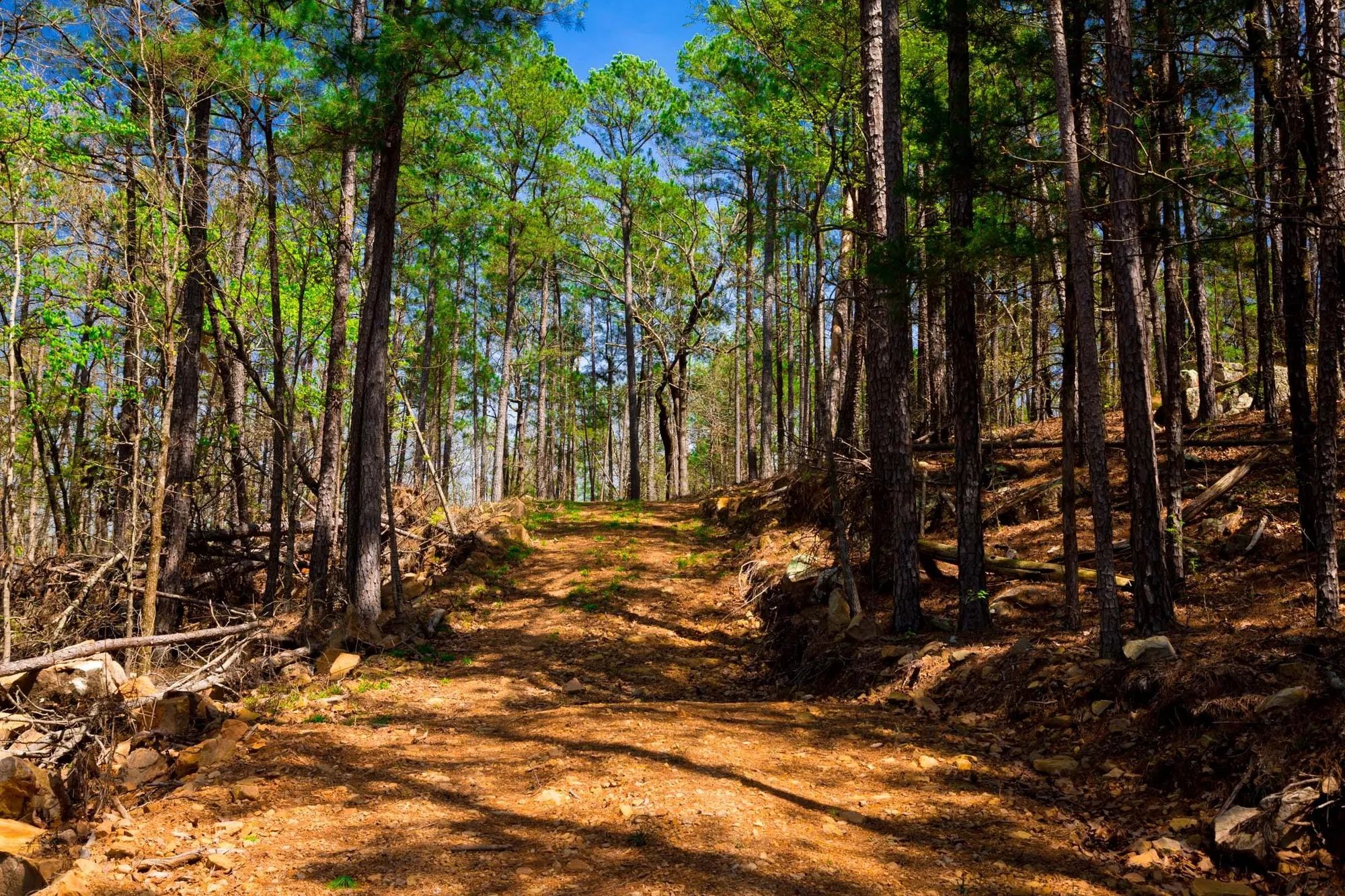 Stone Creek Phase II Tract 214 in Latimer County, OK