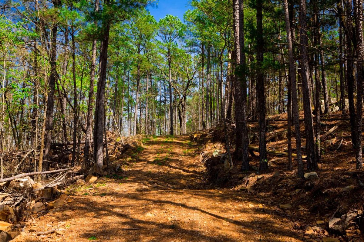 Stone Creek Phase II Tract 214 - Image 2