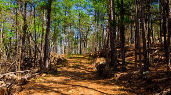 Stone Creek Phase II Tract 214 in Latimer County, OK