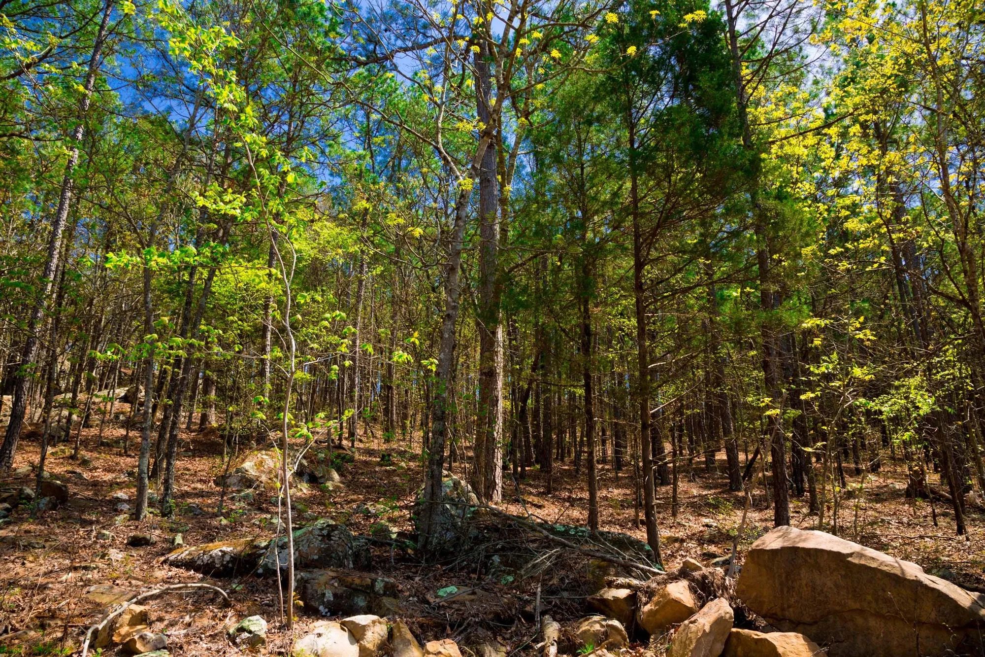 Stone Creek Phase II Tract 214 in Latimer County, OK