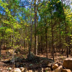 Stone Creek Phase II Tract 214 in Latimer County, OK