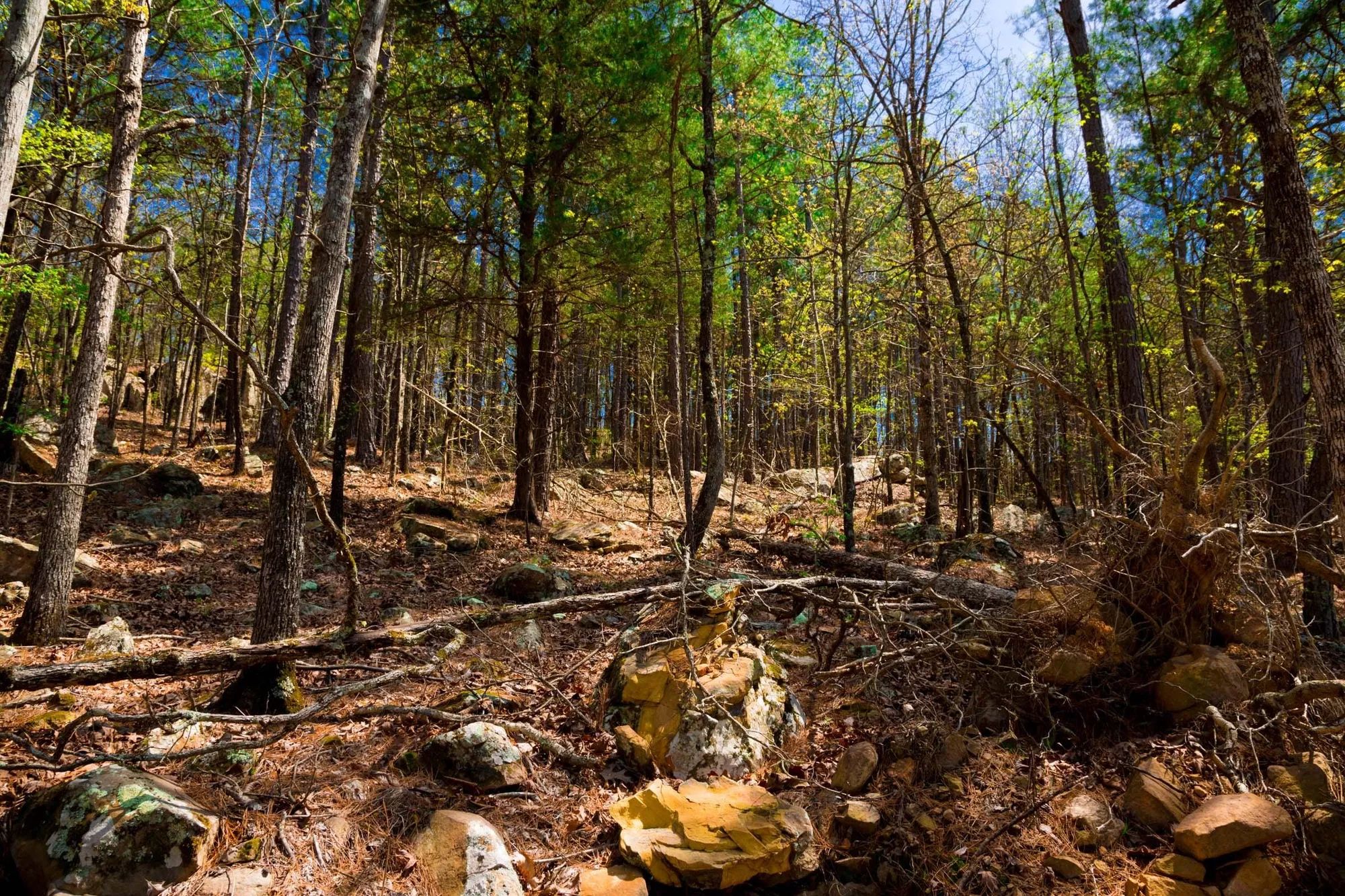 Stone Creek Phase II Tract 214 in Latimer County, OK