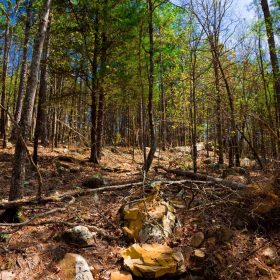 Stone Creek Phase II Tract 214 in Latimer County, OK