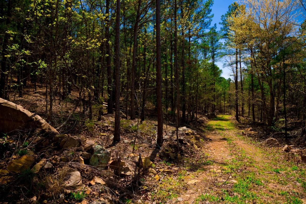 Decorative background for Stone Creek Phase II Tract 214 image 5