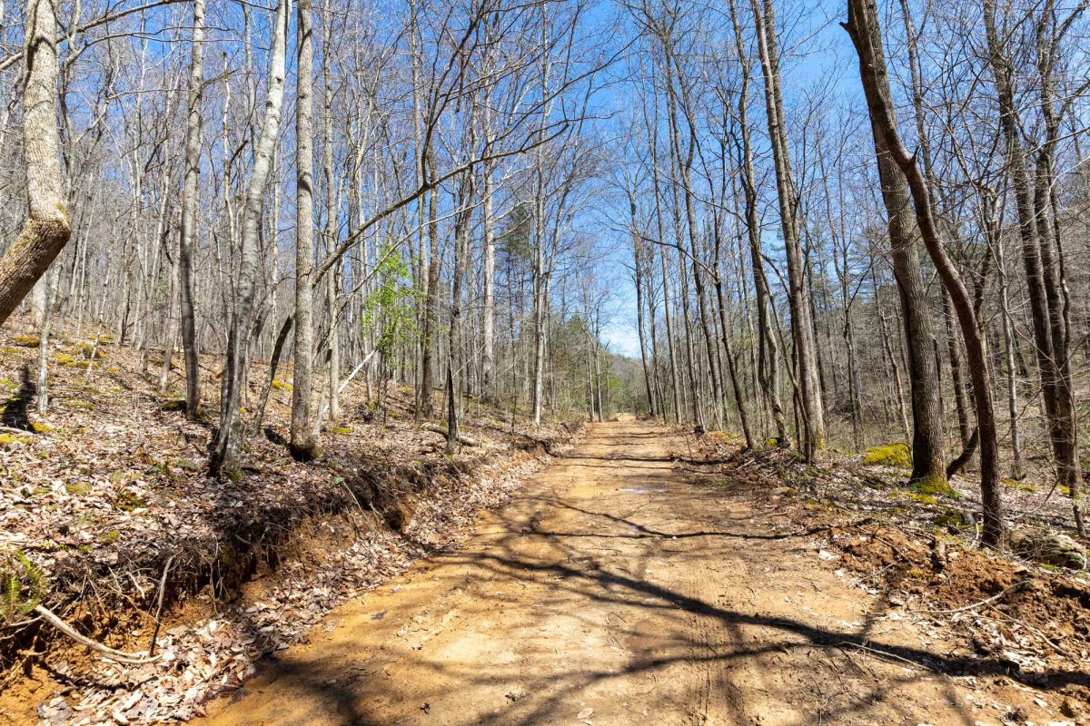 Woodland Heights Tract 9 - Main image