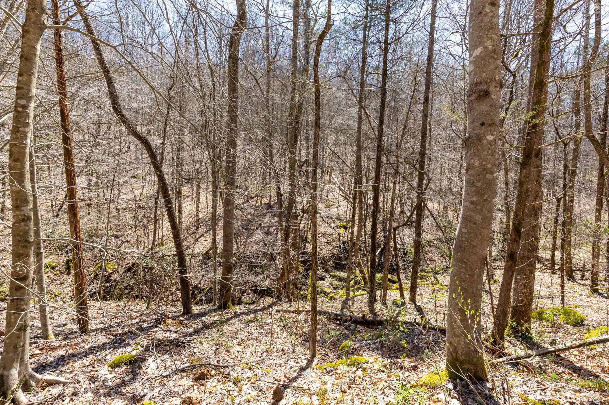 Woodland Heights Tract 9 in Wayne County, KY