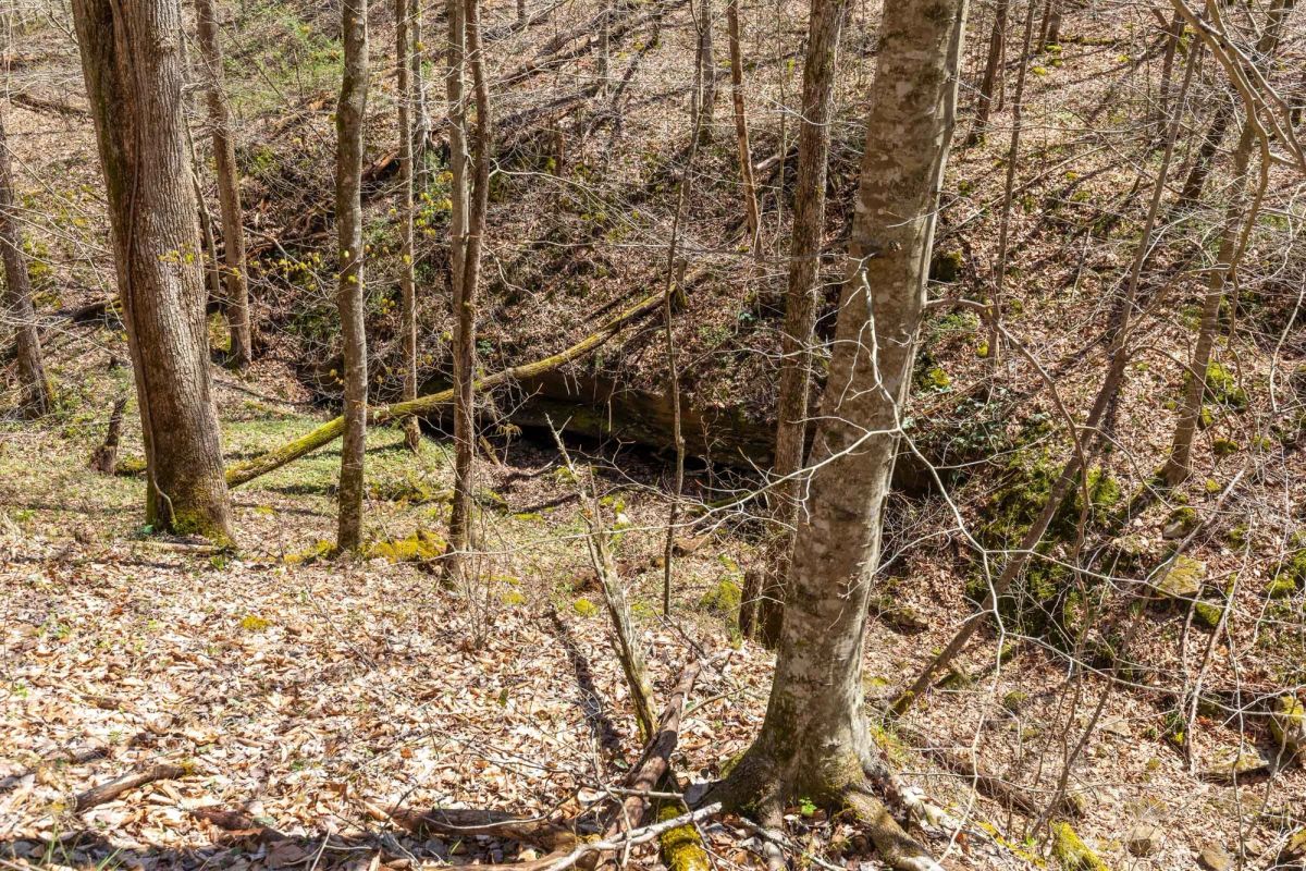 Woodland Heights Tract 9 - Image 3