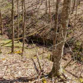 Woodland Heights Tract 9 in Wayne County, KY
