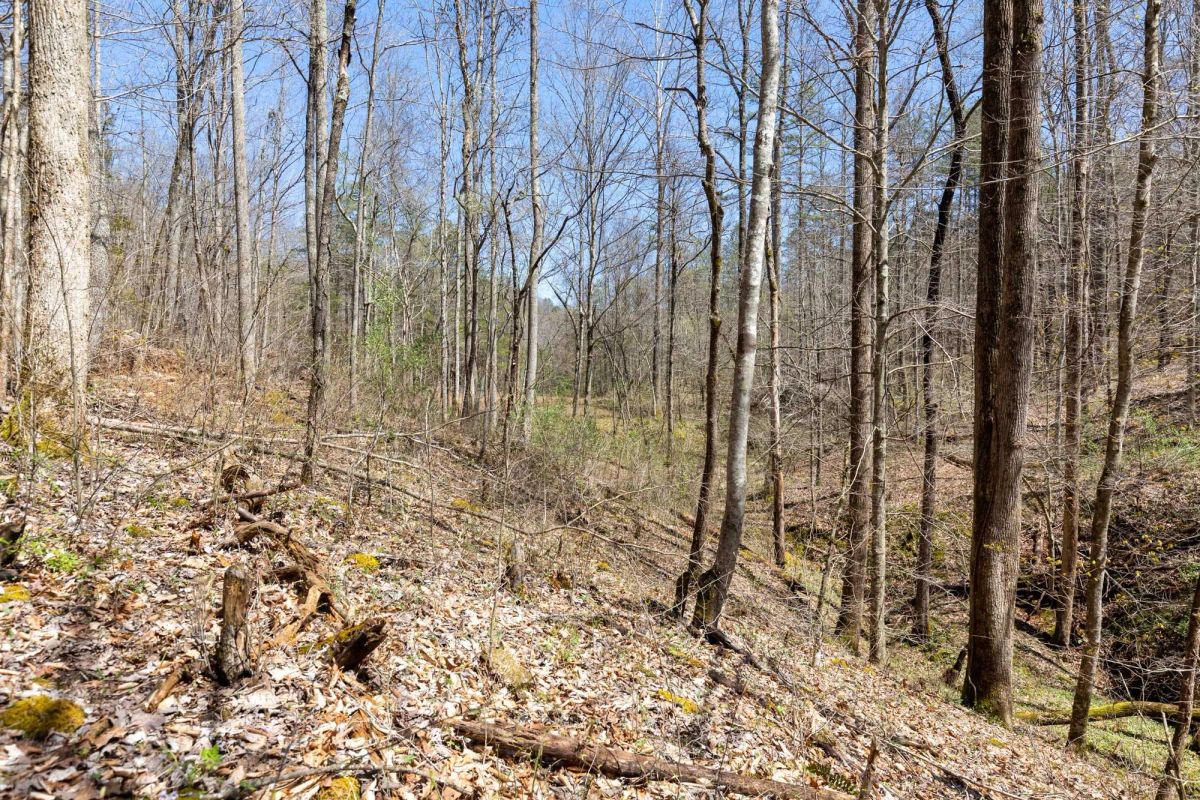 Woodland Heights Tract 9 - Image 4