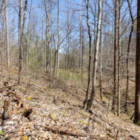 Woodland Heights Tract 9 in Wayne County, KY