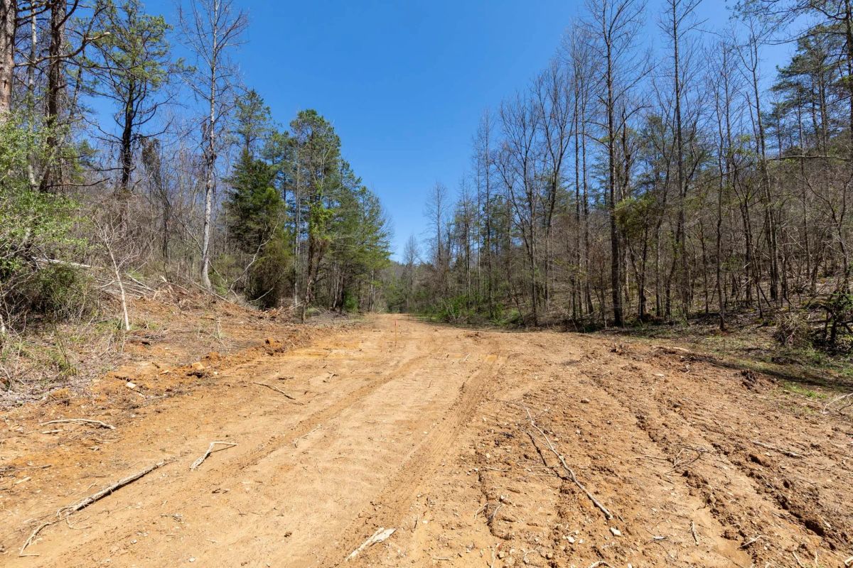 Decorative background for Woodland Heights Tract 9 image 8