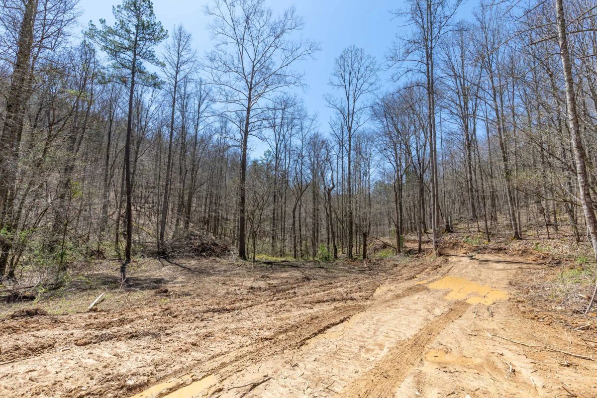 Decorative background for Woodland Heights Tract 9 image 10