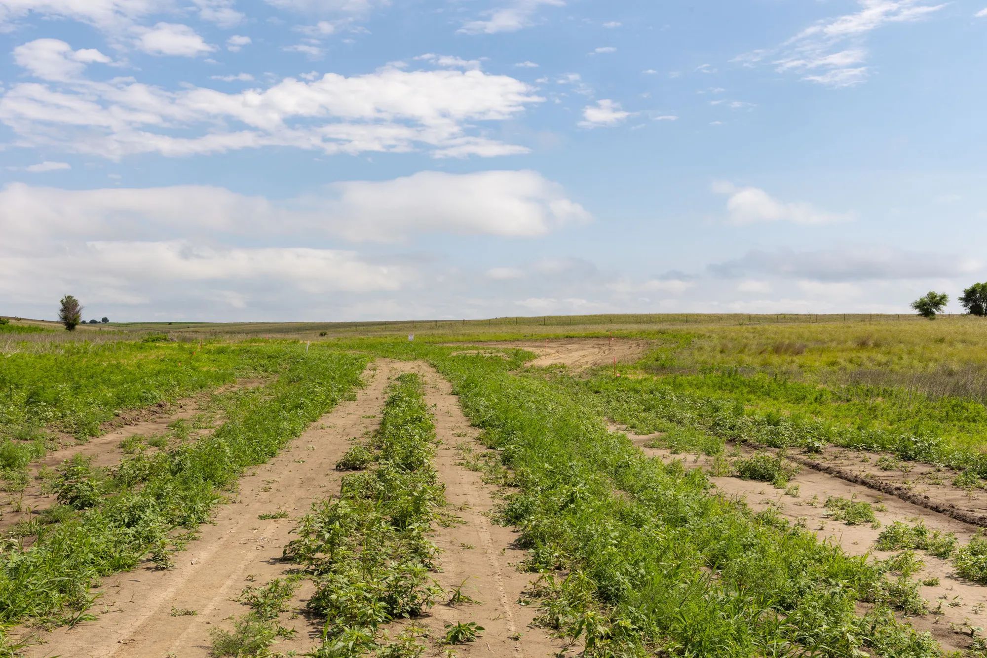 Crandall's Corner Tract 15 in Graham County, KS