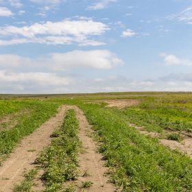 Crandall's Corner Tract 15 in Graham County, KS